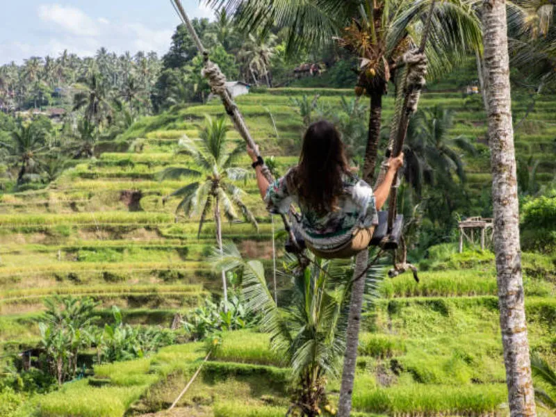 a girl swinging over rice terraces in Ubud