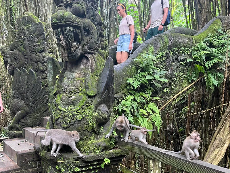 some monkeys next to a bridge in the Ubud Monkey Forest